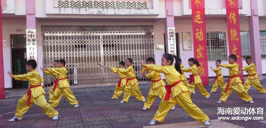 【武術(shù)】海南武術(shù)再添新丁　戳腳翻子拳研究會在瓊成立