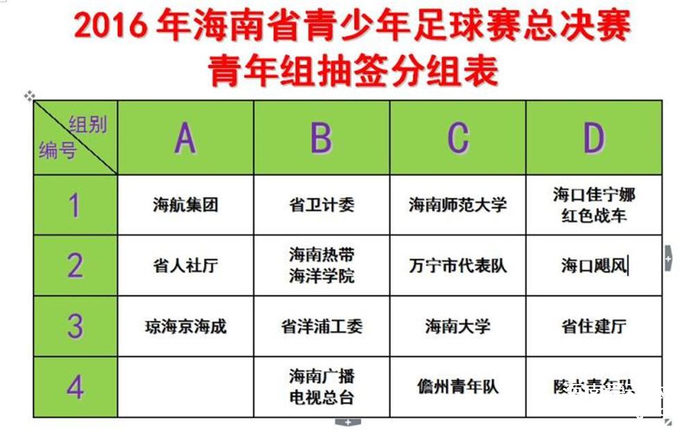 2016海南省青足球賽總決賽青年組最終賽程出爐 省人社廳VS瓊海京海成打響揭幕戰(zhàn)