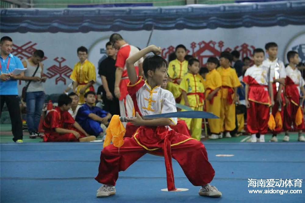 2016年海南省全民健身運(yùn)動會武術(shù)公開賽落幕 四大亮點(diǎn)凸顯賽事成功