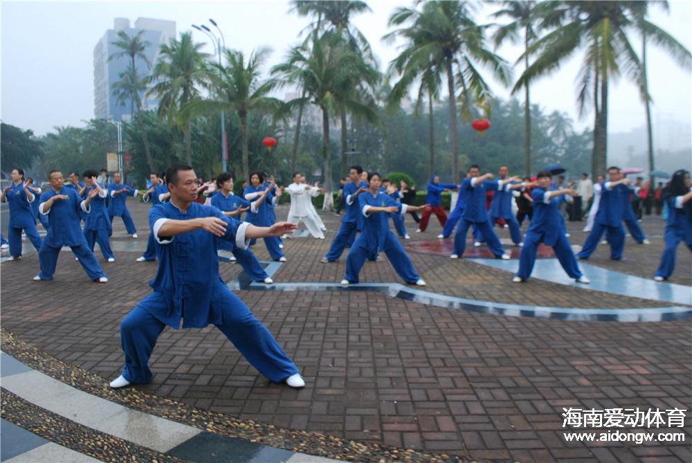 2017年海南省武術(shù)協(xié)會迎新春聯(lián)歡會落幕　260名武術(shù)愛好者迎春獻藝