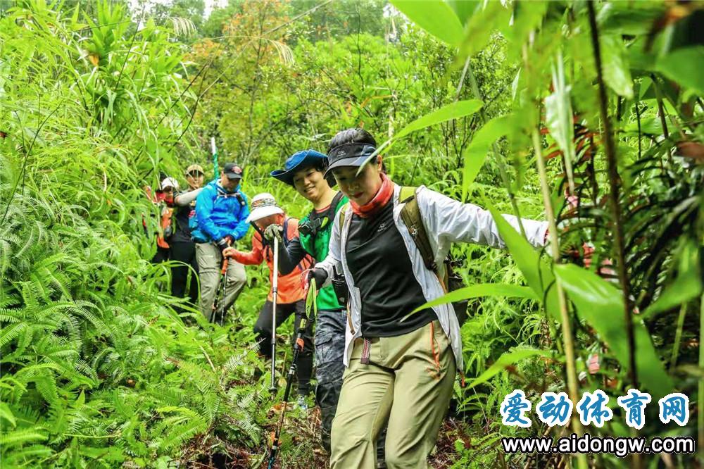 2018國際商界精英海南熱帶雨林徒步挑戰(zhàn)賽激戰(zhàn)正酣