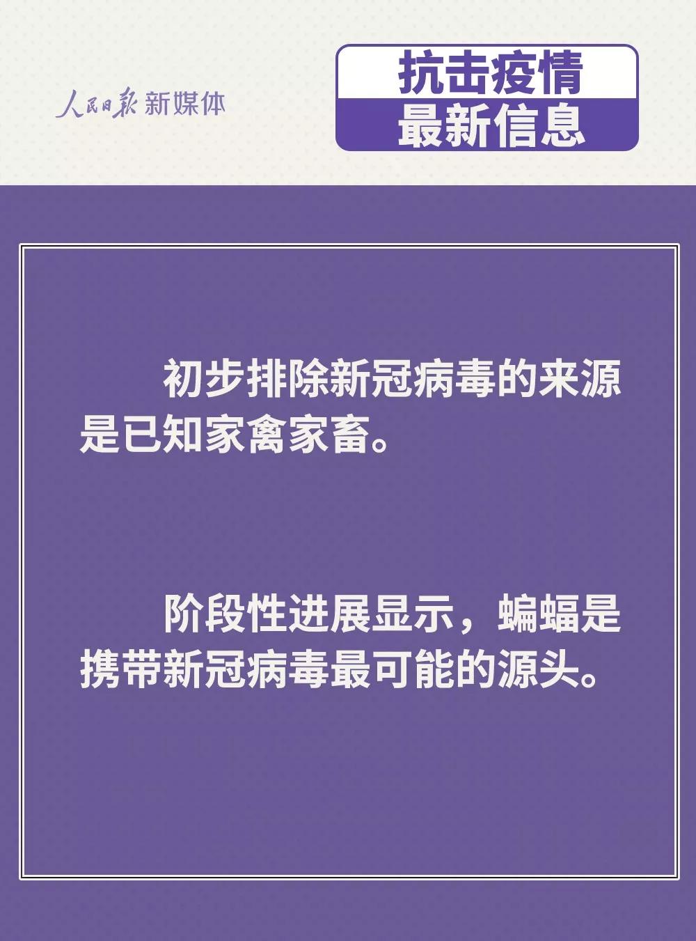 雞鴨會傳播病毒？疫苗研究得怎樣？抗疫最新信息，你要知道