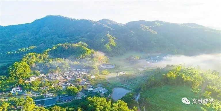 2023年“營動中國” 熱帶雨林探索夏令營火熱報名中